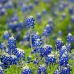 Why Join Club 3Dilocal for Fun