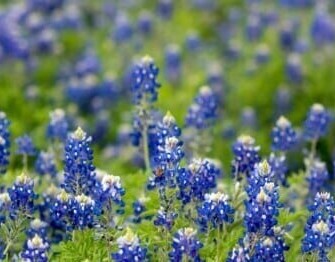 Why Join Club 3Dilocal for Fun