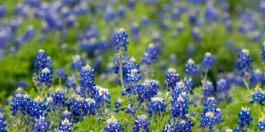 Why Join Club 3Dilocal for Fun