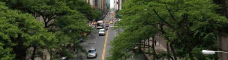 tree-architecture-sky-road-skyline-street-1087245-pxhere.com